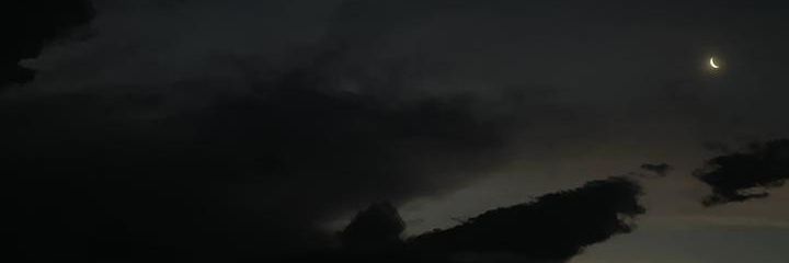isascarafioccaa's profile banner image