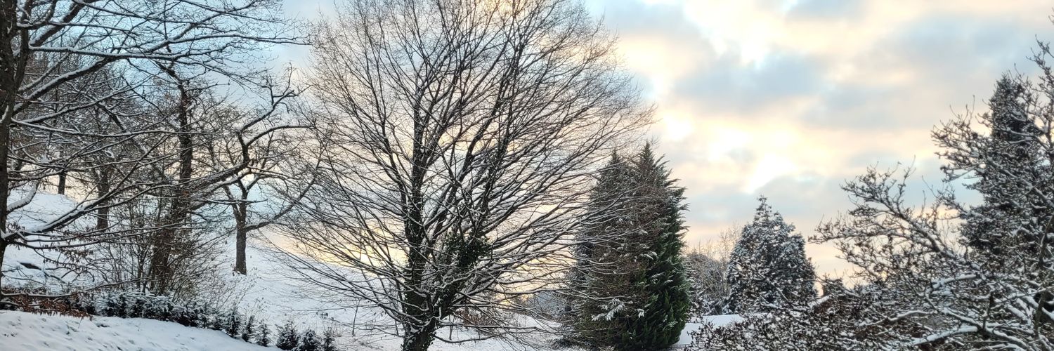 sunshinesbrat's profile banner image