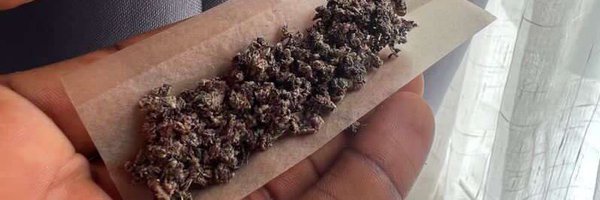 Lulaboi237943 Profile Banner