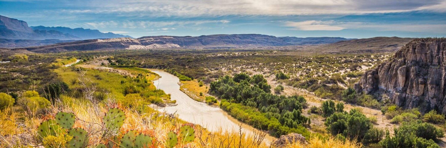 danny el magnifico 🌵 banner