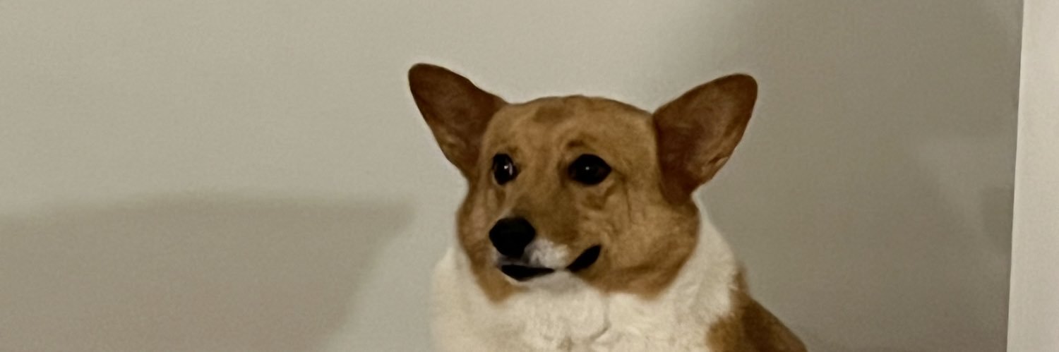 DpForst's profile banner image