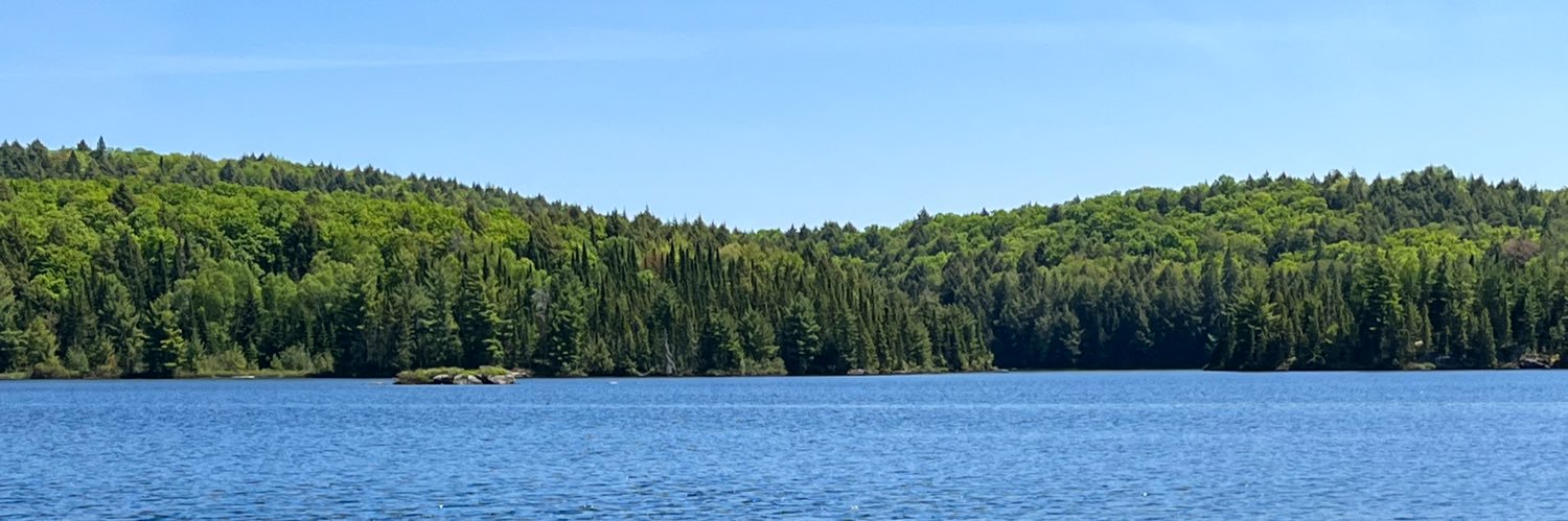 ClandestineChemist banner