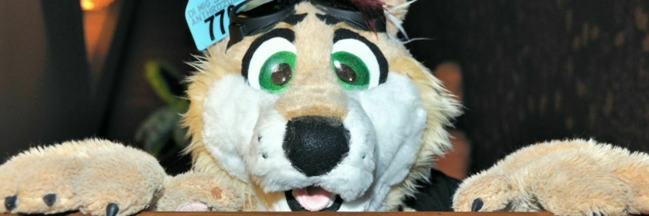 staghorne's profile banner image