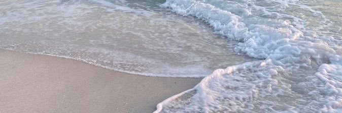 almafranco_'s profile banner image