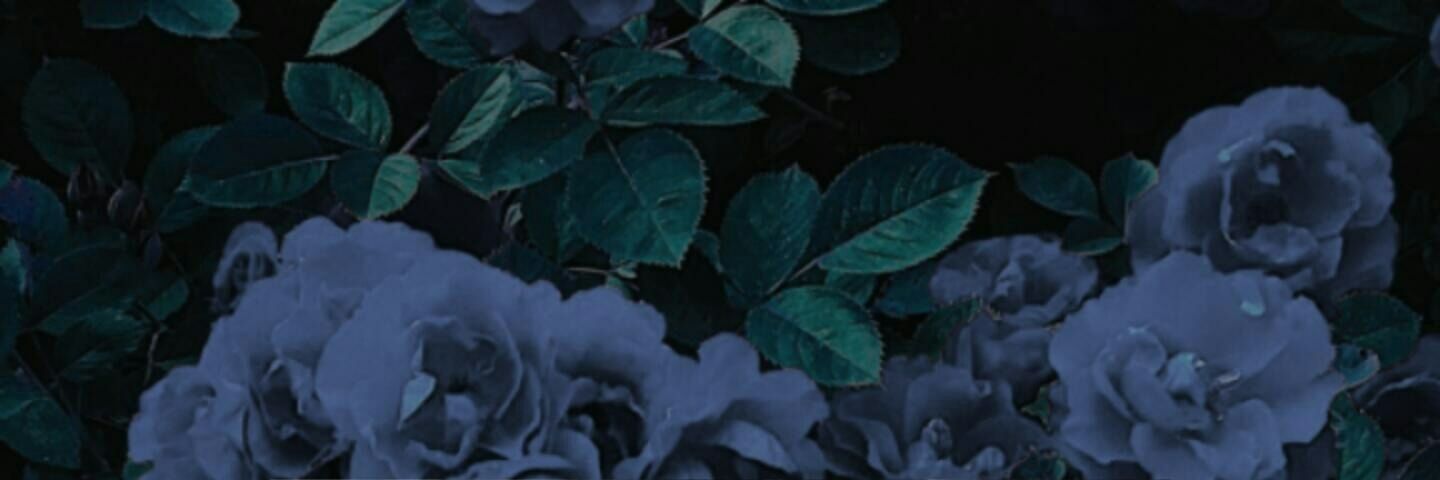 Clara_Vaargas's profile banner image