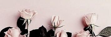ℹ︎˚✧₊⁎ banner