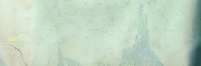 josh dun's banner