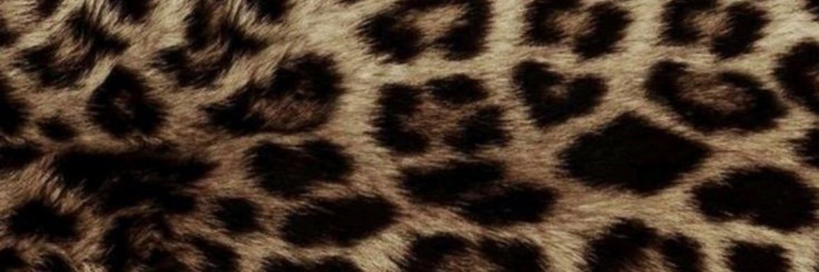 _isacoelho_'s profile banner image