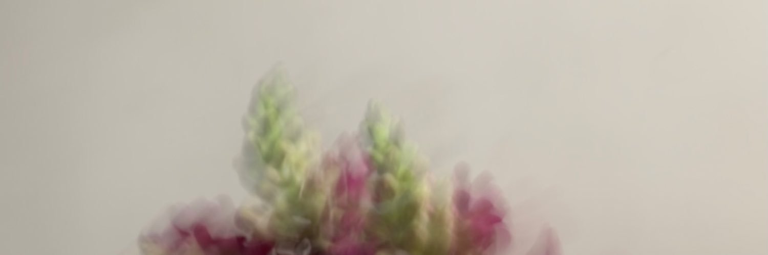 Taligardel's profile banner image