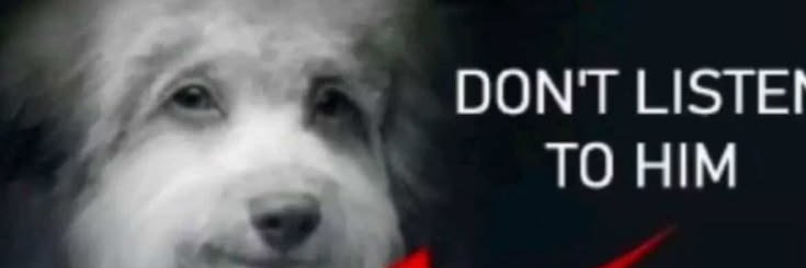piehyker's profile banner image