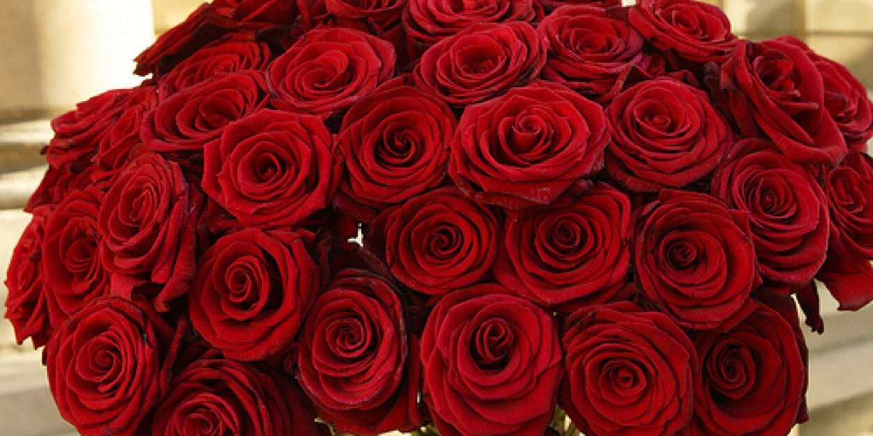 joory2007's profile banner image