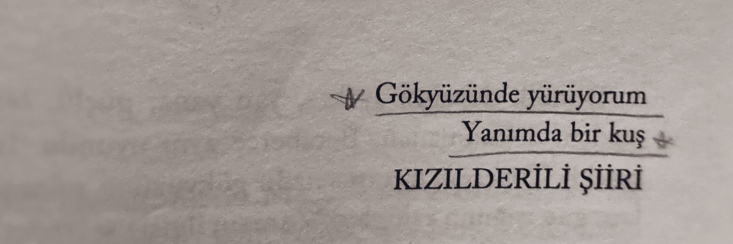 Seda Ünal banner