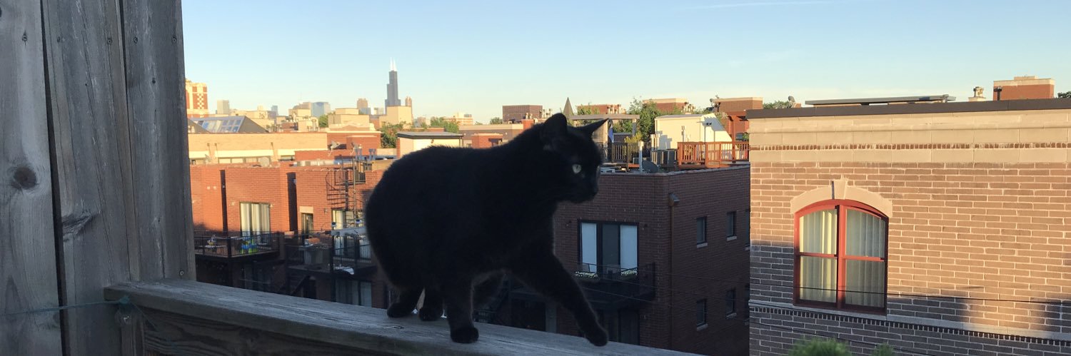 jarrodrice's profile banner image
