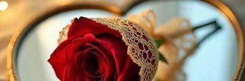 Forgive5050's profile banner image