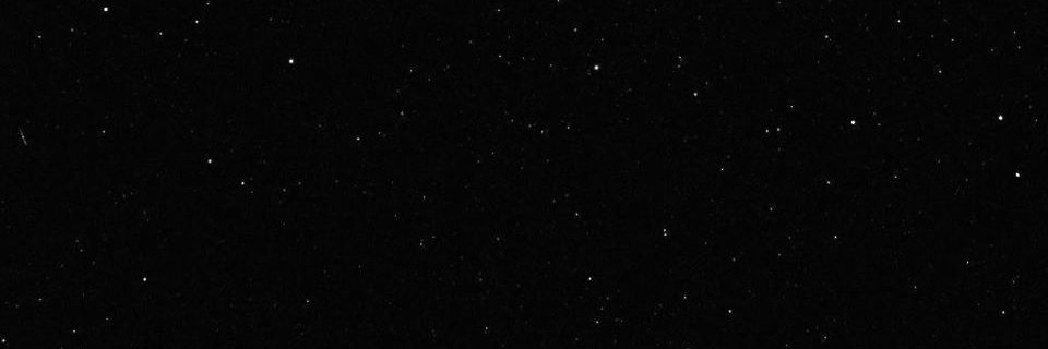 Tucker Lucas banner