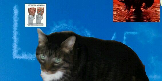 AltayeElsa's profile banner image