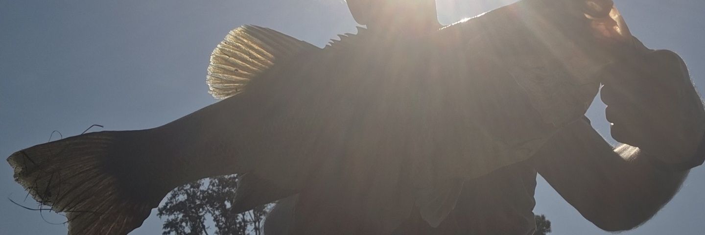 Ric Bliccc (Q'bertimo) aka Fishn' Ric banner