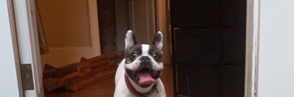 amandagalloo's profile banner image