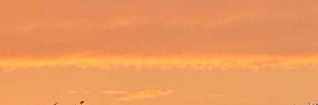 lenamorbe's profile banner image