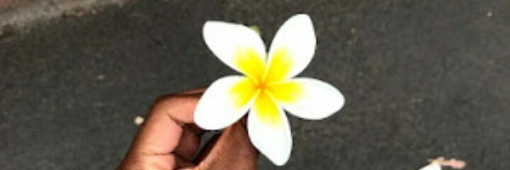Zenanda_N's profile banner image