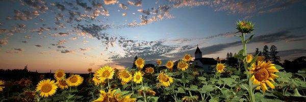 SamsonPhoto Profile Banner