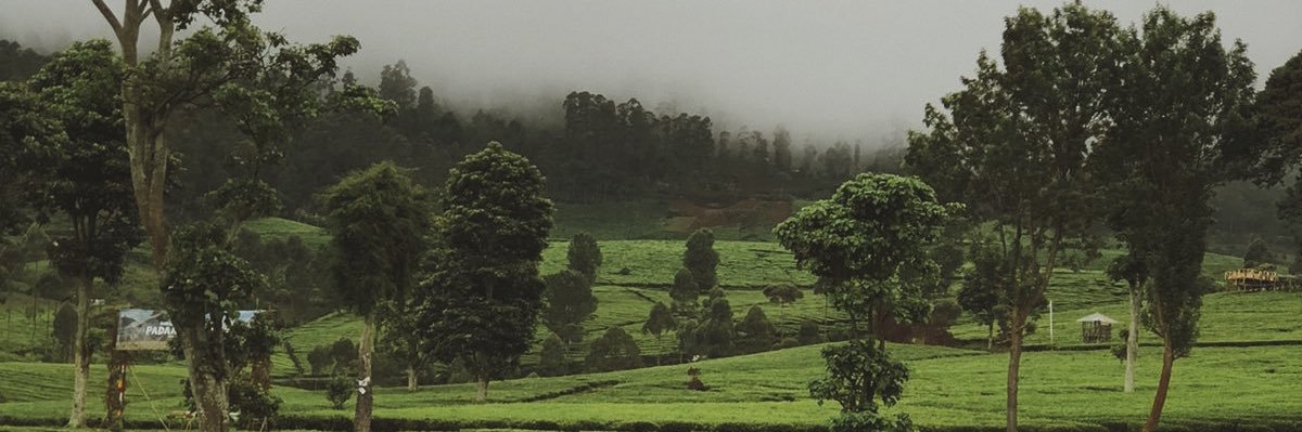 imvmsyah's profile banner image