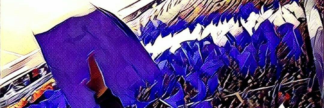 AndyMaroni's profile banner image