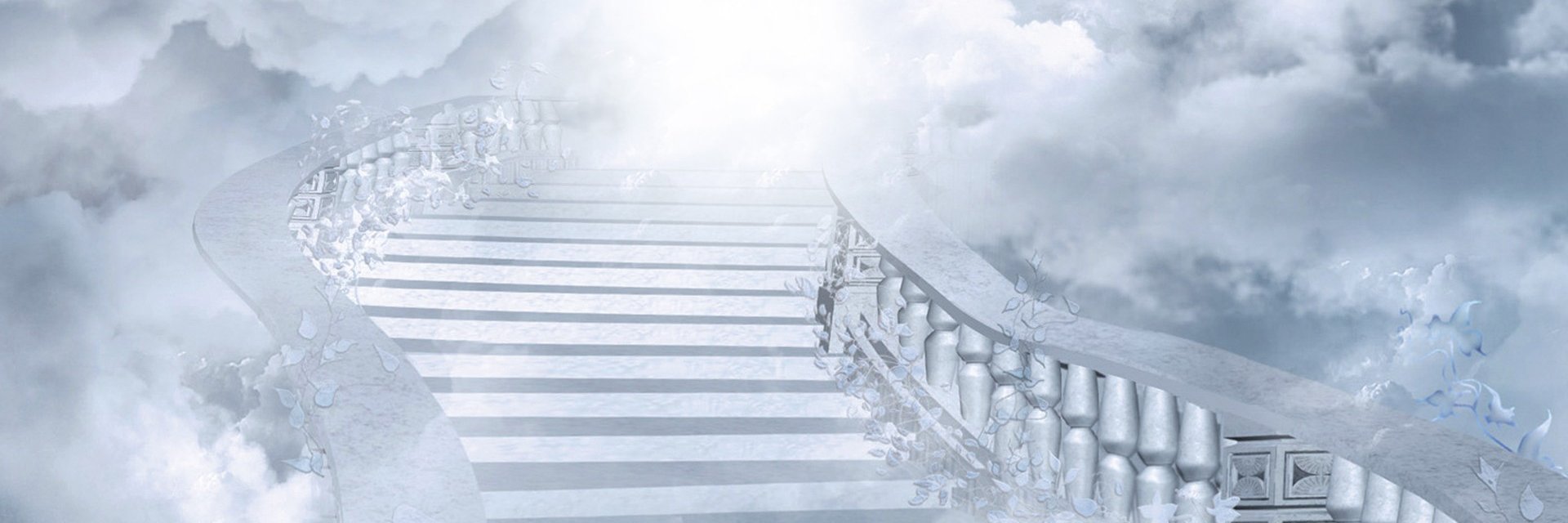 skconnol's profile banner image