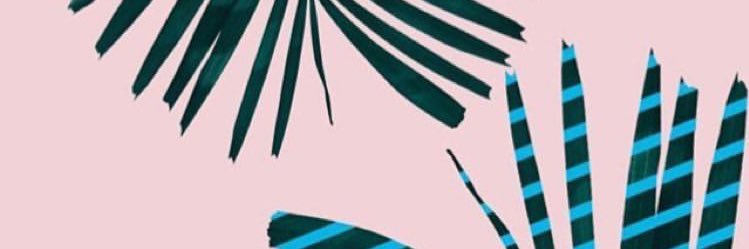 EliVogue's profile banner image