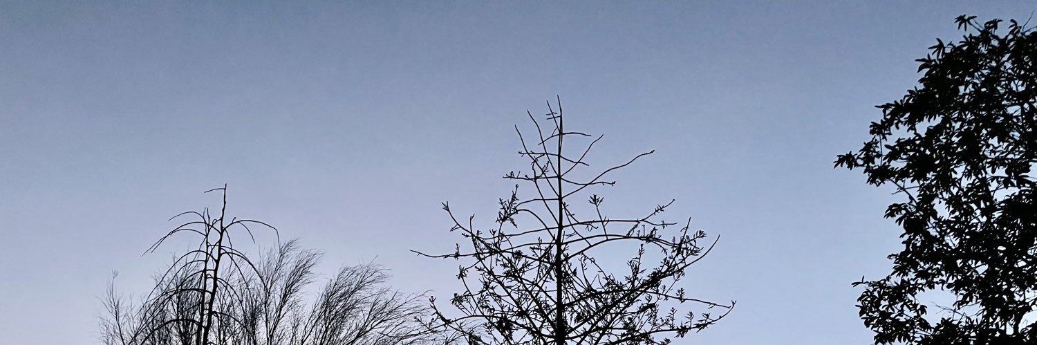 Endito_'s profile banner image