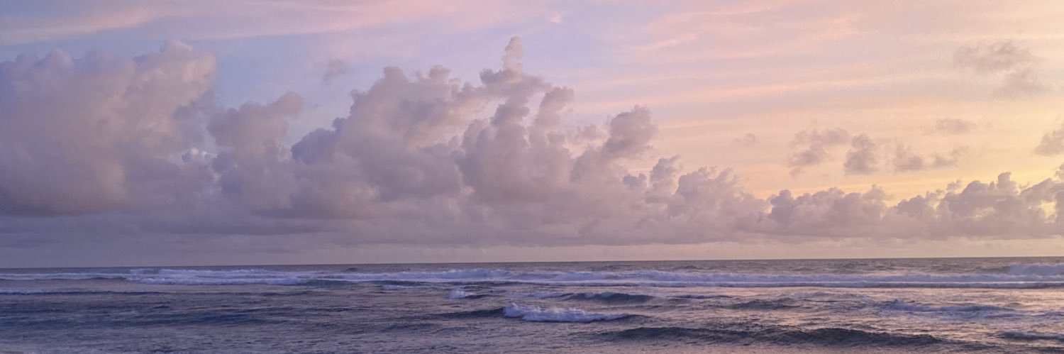 feillyue's profile banner image