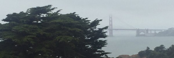 TrishRothgeb Profile Banner