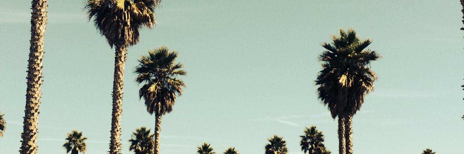 equirarte's profile banner image