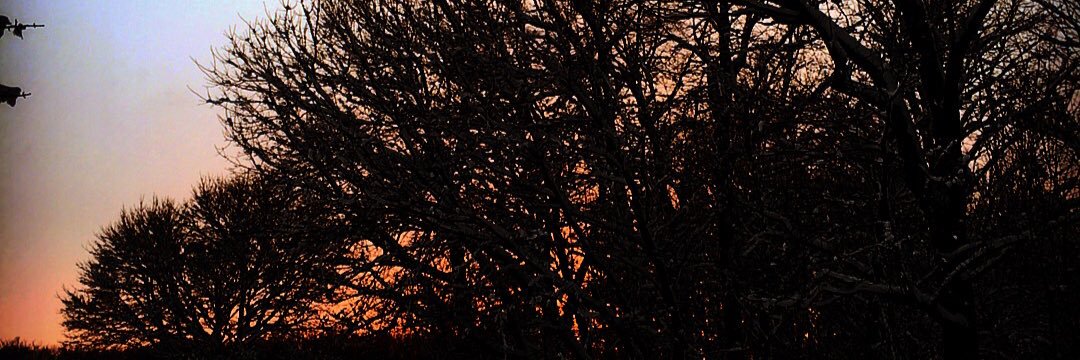 DevonSkenandore's profile banner image