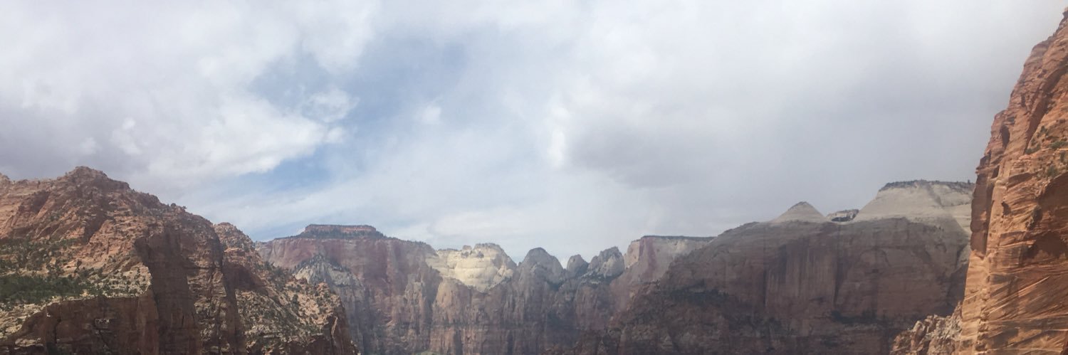 Bailey Schulz banner