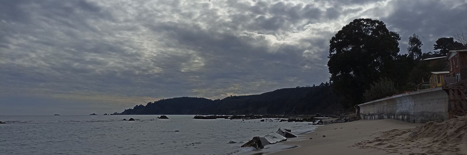 Felipepolancog's profile banner image
