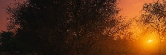 abu_faysal's profile banner image