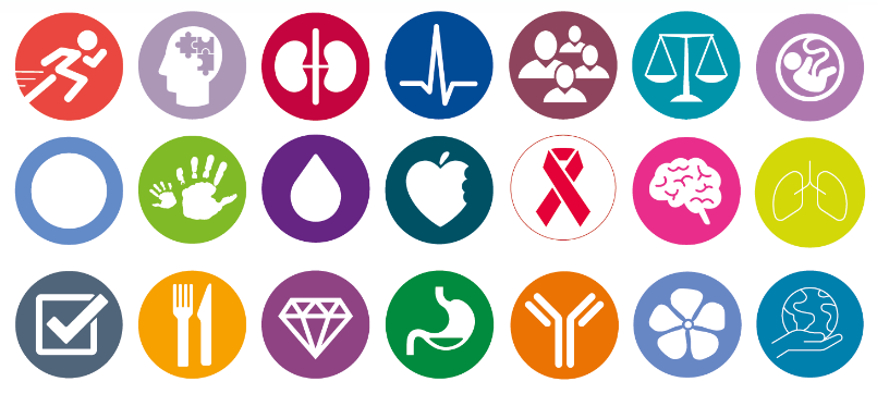 April Aslett, BDA Student Rep 24/25 banner