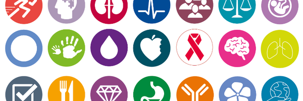 BDAStudent Profile Banner