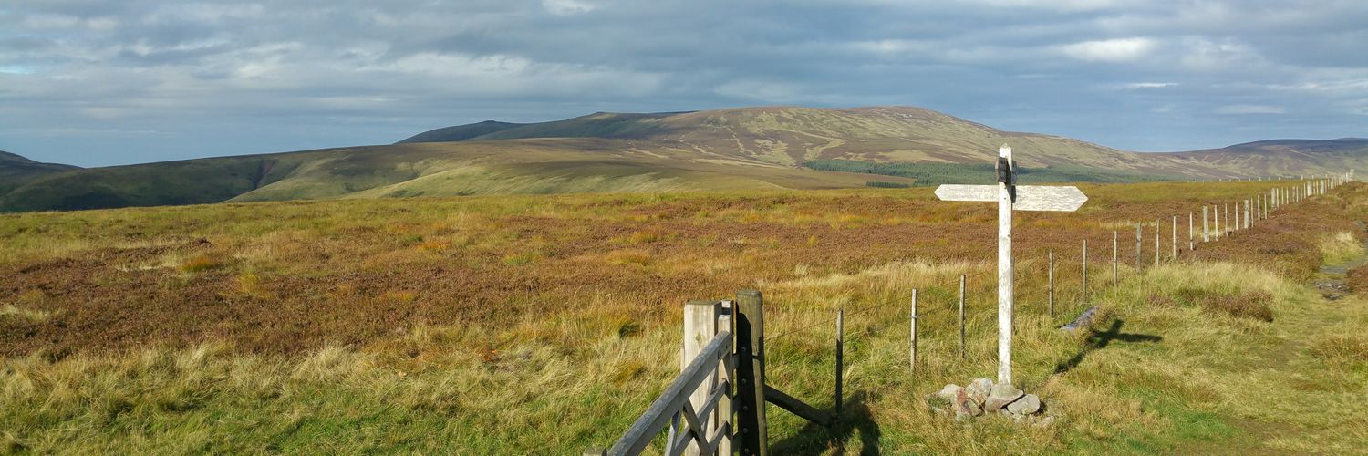 AFWatkin's profile banner image