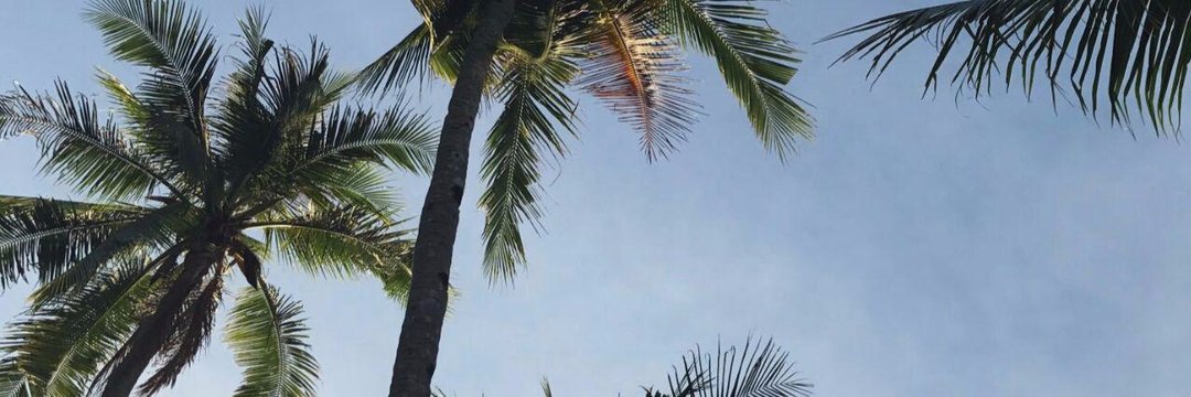 JustLavern's profile banner image