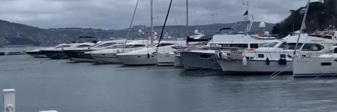s_ ercisli banner