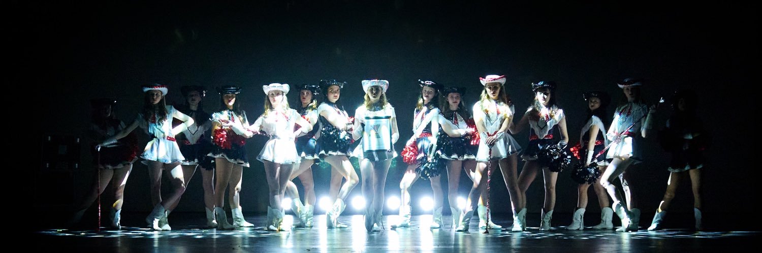 Lovejoy HS Majestics Dance Team banner