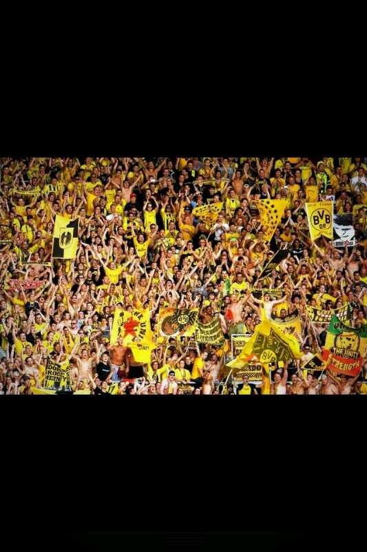 442BVB's profile banner image
