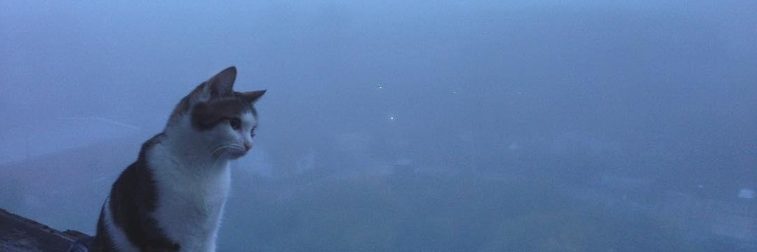санёчек banner