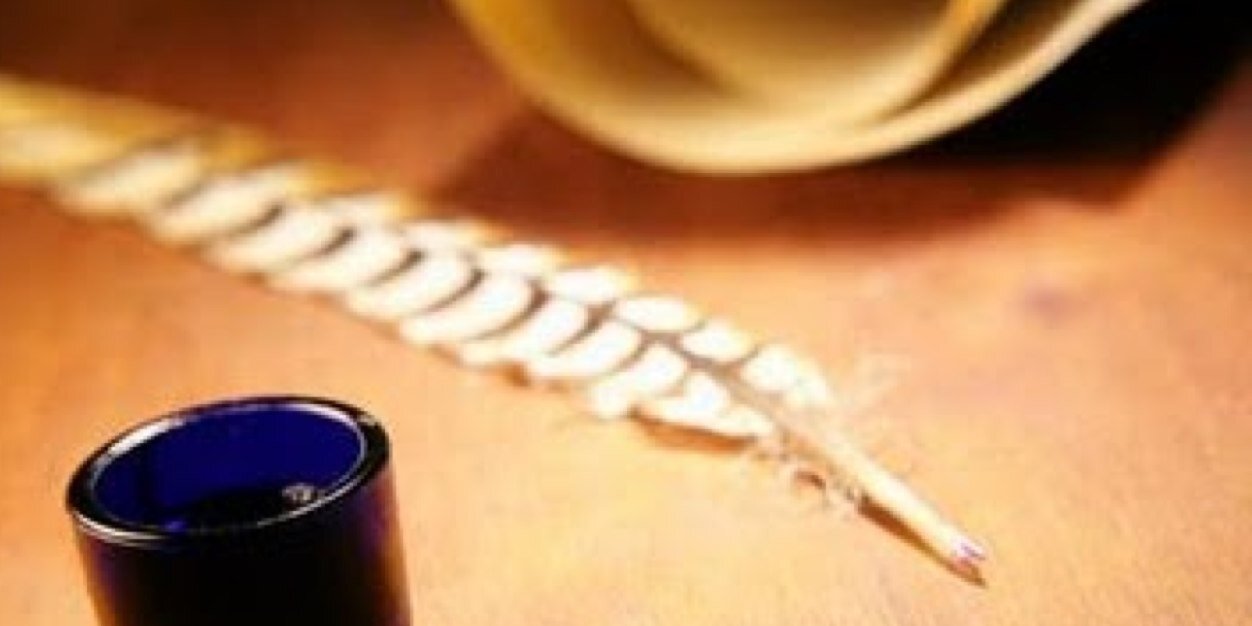 alshafiya's profile banner image