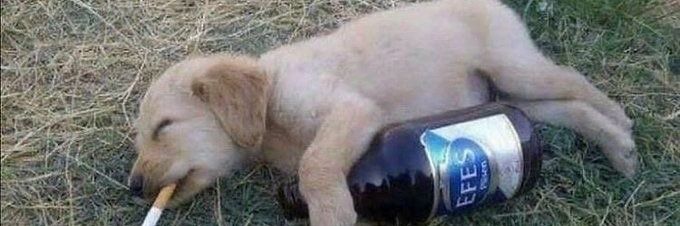 ANNE | Maria @cb2026 banner