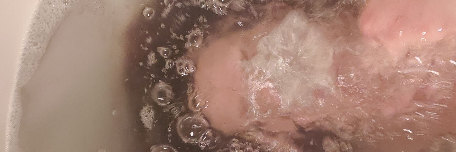 Emilysgotcake's profile banner image