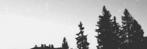 rochelletbh's profile banner image