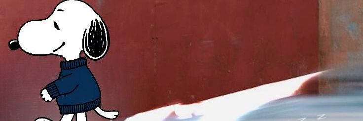 cyaaa²⁷ banner